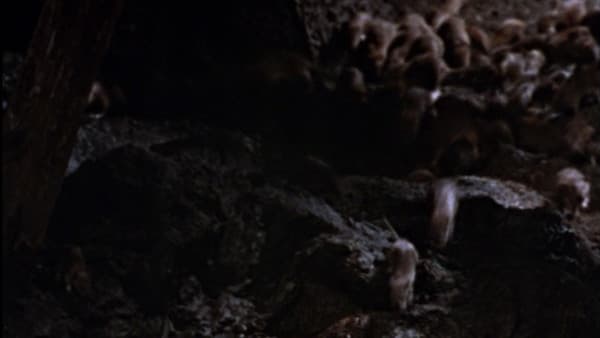 13ea39f07e5b4e8a-600x338.jpeg (uploaded)