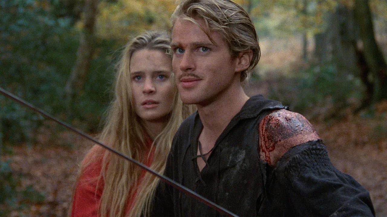 The Princess Bride theatrical backdrop (TMDB)